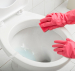 Toilet & Bathroom Cleaner